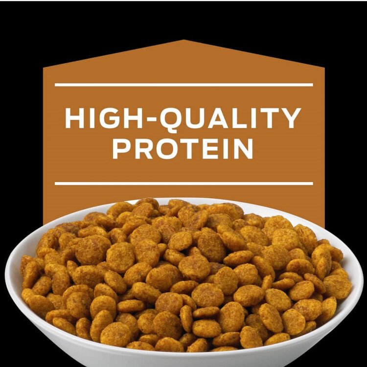 Pro Plan Veterinary Diets - Early Care - NF Kidney Function Cat Dry Food - Image 3