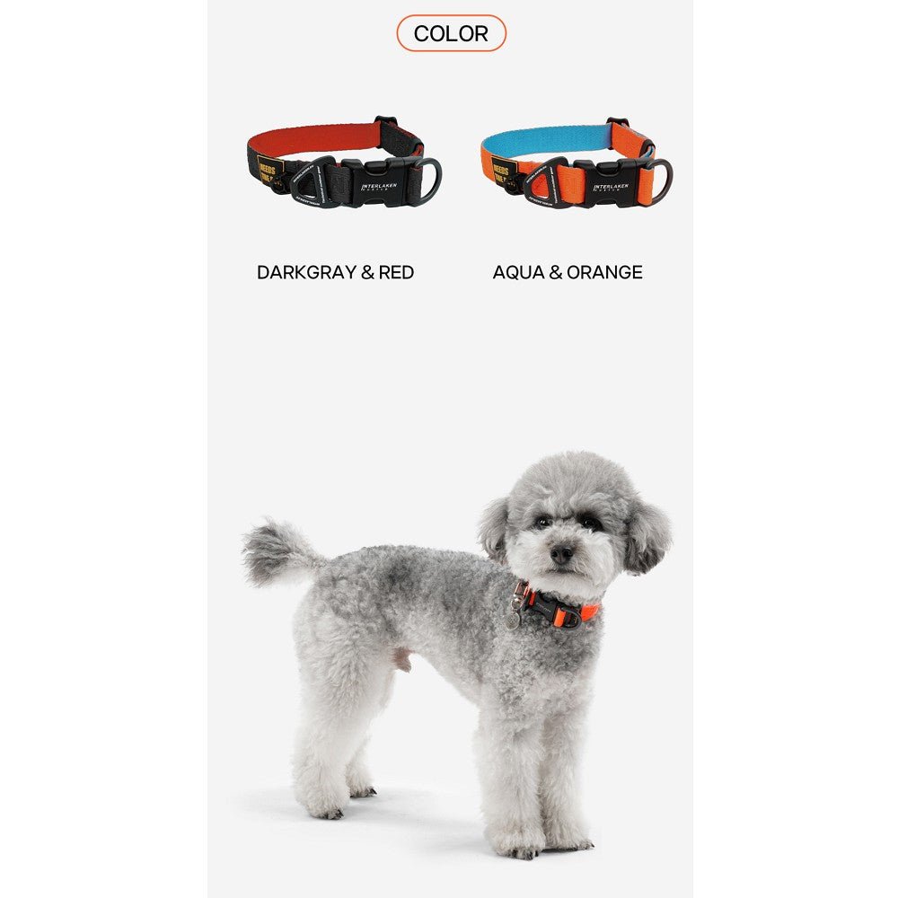 Earthtec Standard Dog Collar - Image 6