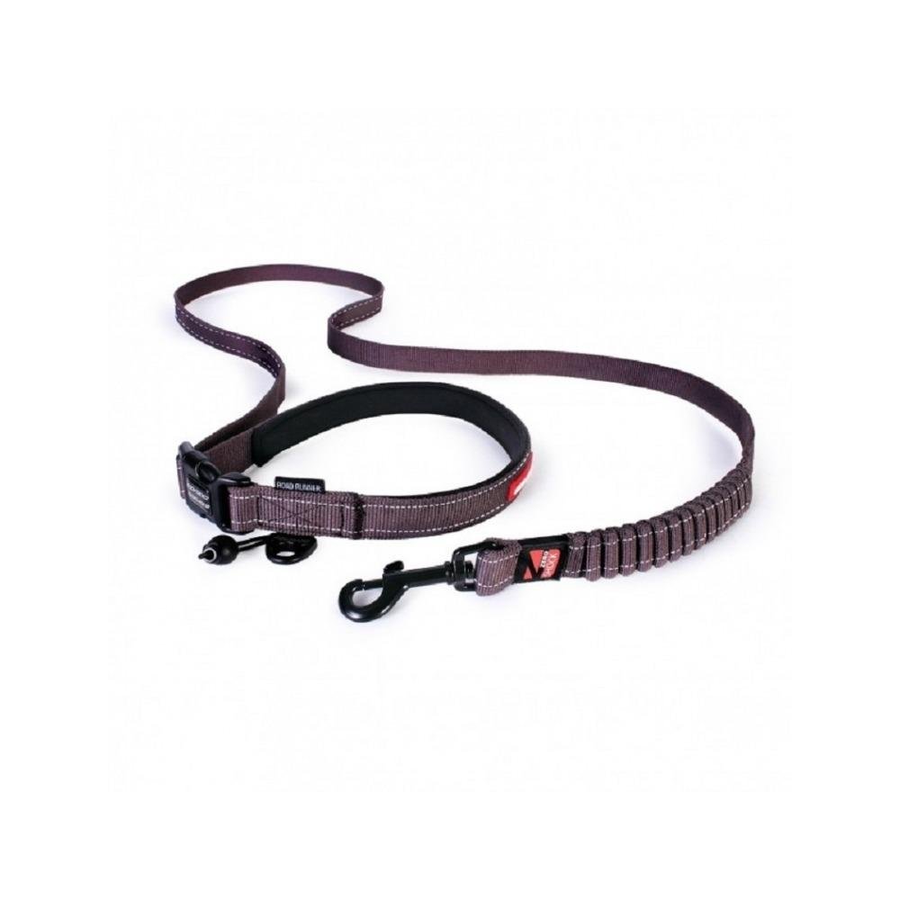 Road Runner Dog Leash - Image 14