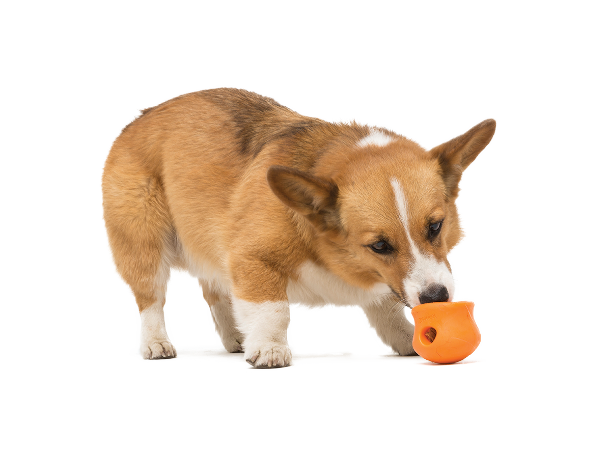 Toppl Dog Treat Toy - Image 18