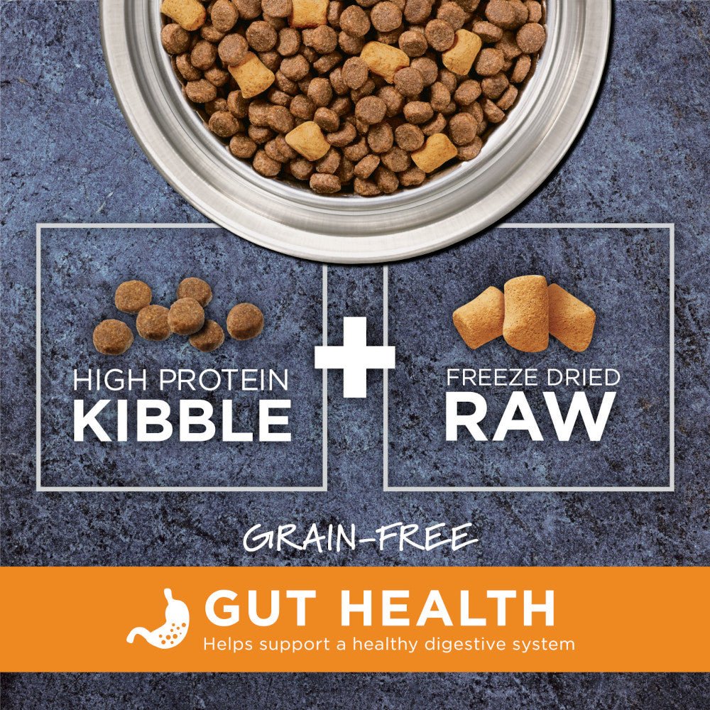 Raw Boost Gut Health Grain Free Kibble + Raw Adult Dog Dry Food - Chicken - Image 3