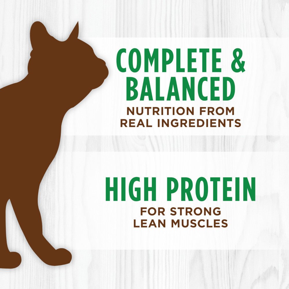All Life Stages Original Grain Free Lamb Cat Can - Image 5