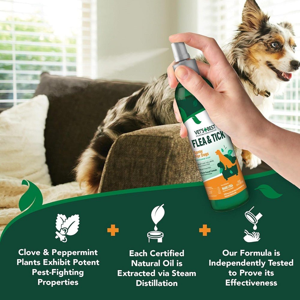Flea & Tick Spray - Image 5