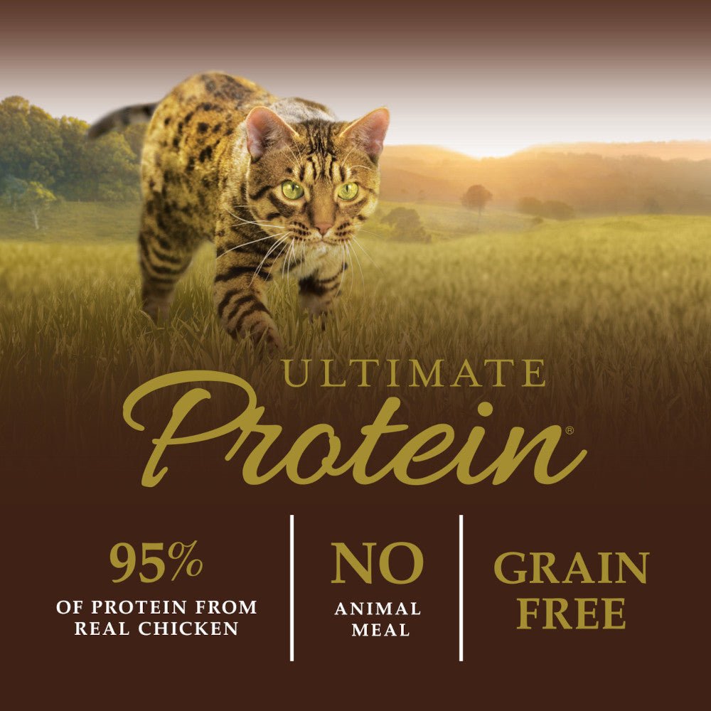Ultimate Protein Adult Grain Free Chicken Cat Dry Food - Image 3