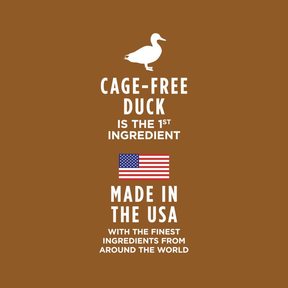 Healthy Cravings Grain Free Duck Recipe Cat Pouch - Image 4